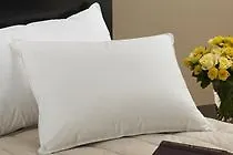Masa 5 De Outubro